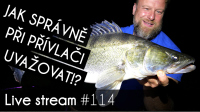 VIDEO: Jak správně pro úspěšnou přívlač uvažovat? + horké NOVINKY RedBass a DAIWA | Přívlač Live #114