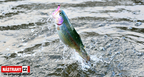 TROUT AREA & UL PŘÍVLAČ